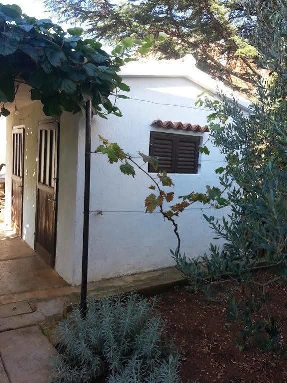 Apartment Martina Bibinje