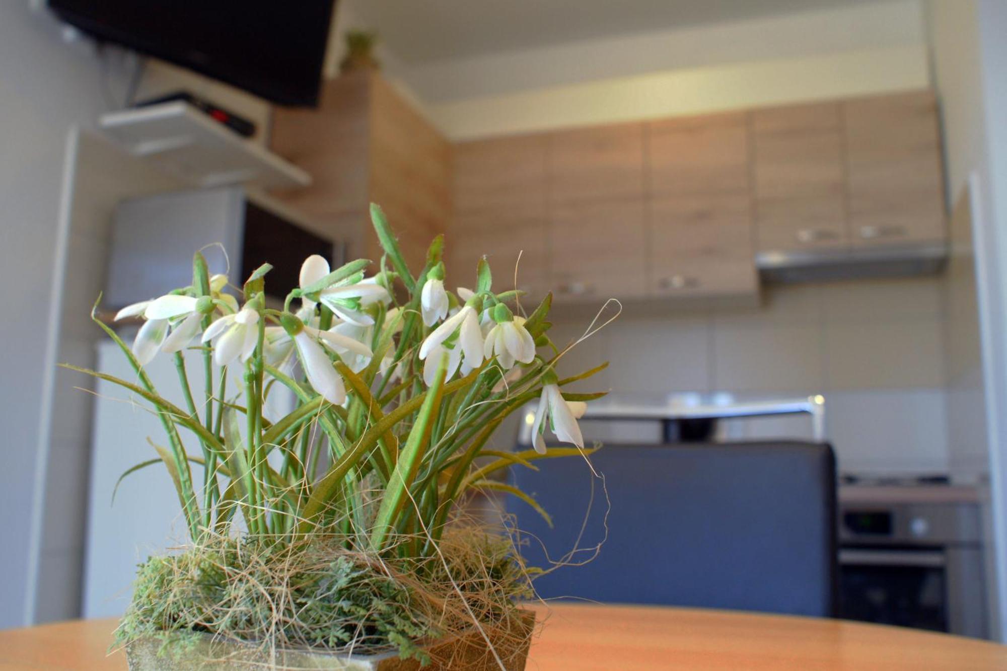 Apartman Martina *